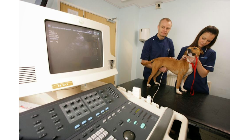 Westway Veterinary Hospital