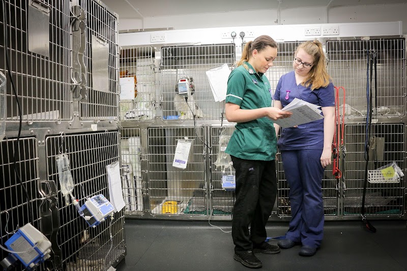 Westway Veterinary Group, Wideopen