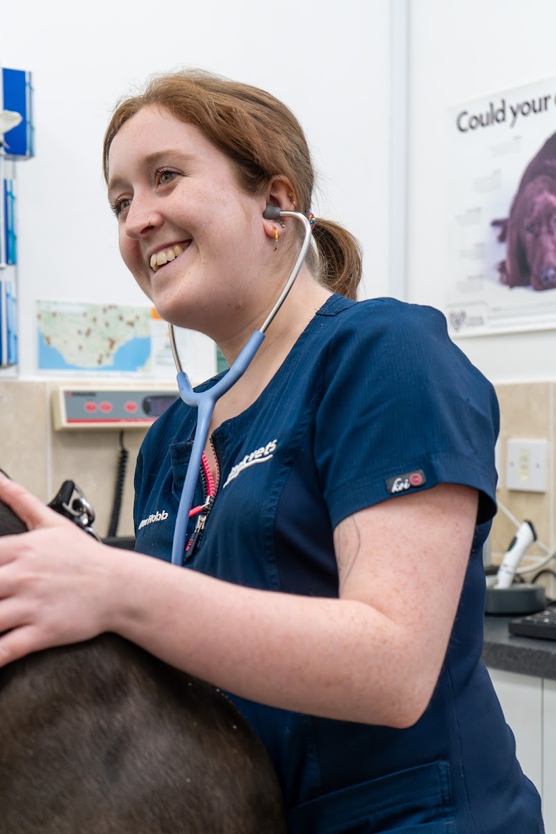 Park Veterinary Group, Cardiff