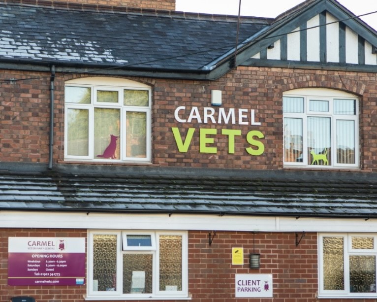Carmel Vets, Penn Fields