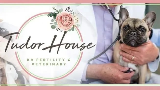 Rock House Vets