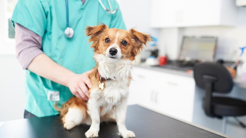 Highcroft Veterinary Centre - Haycombe