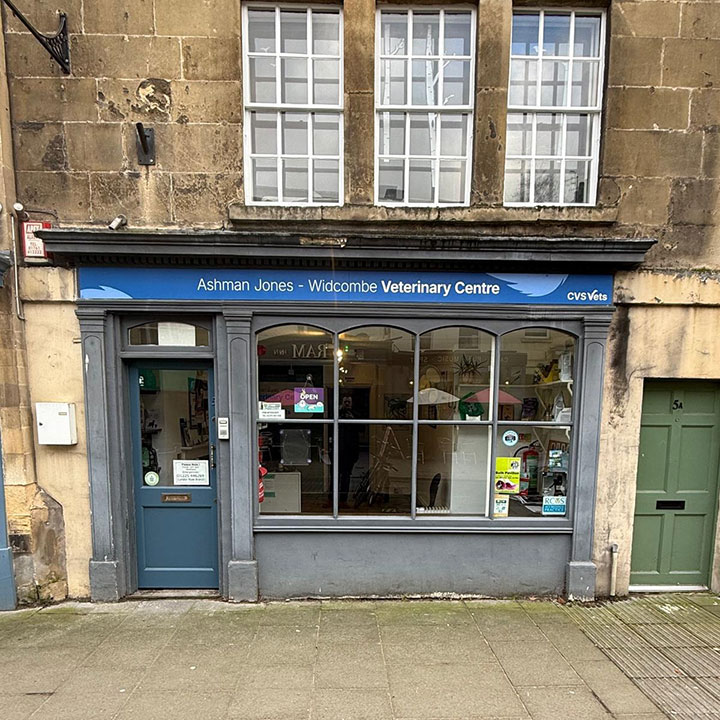 Ashman Jones Veterinary Centre - Widcombe