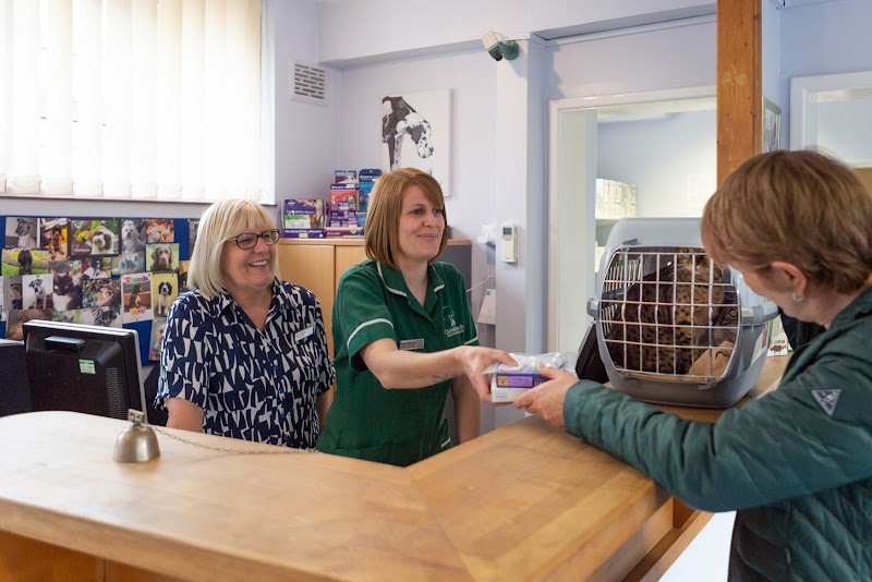 Christchurch Veterinary Surgery