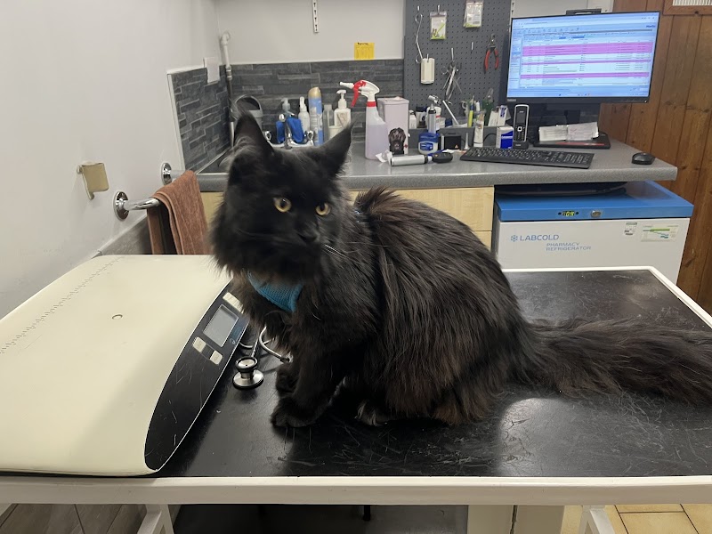 The Barn Veterinary Practice