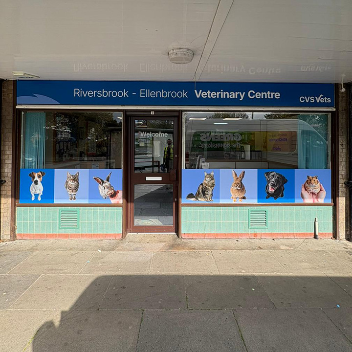 Riversbrook Veterinary Centre - Ellenbrook
