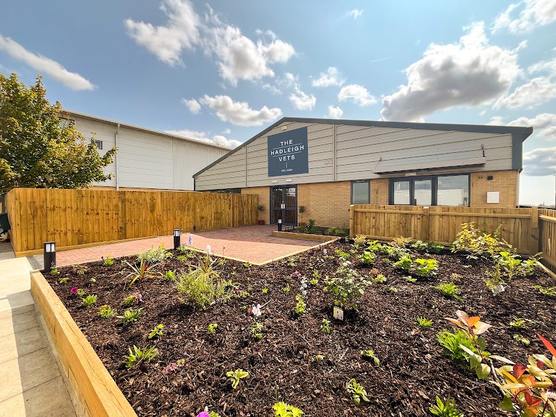 The Hadleigh Vets