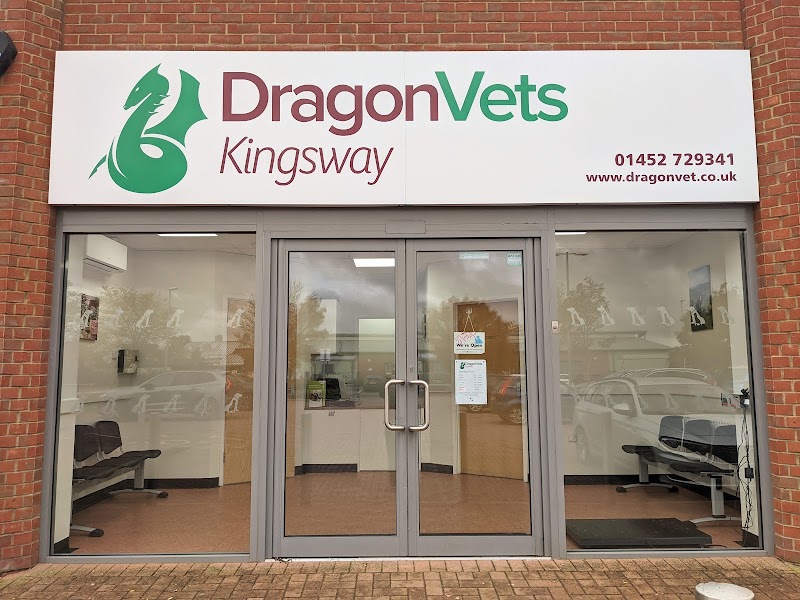 Dragon Vets, Kingsway