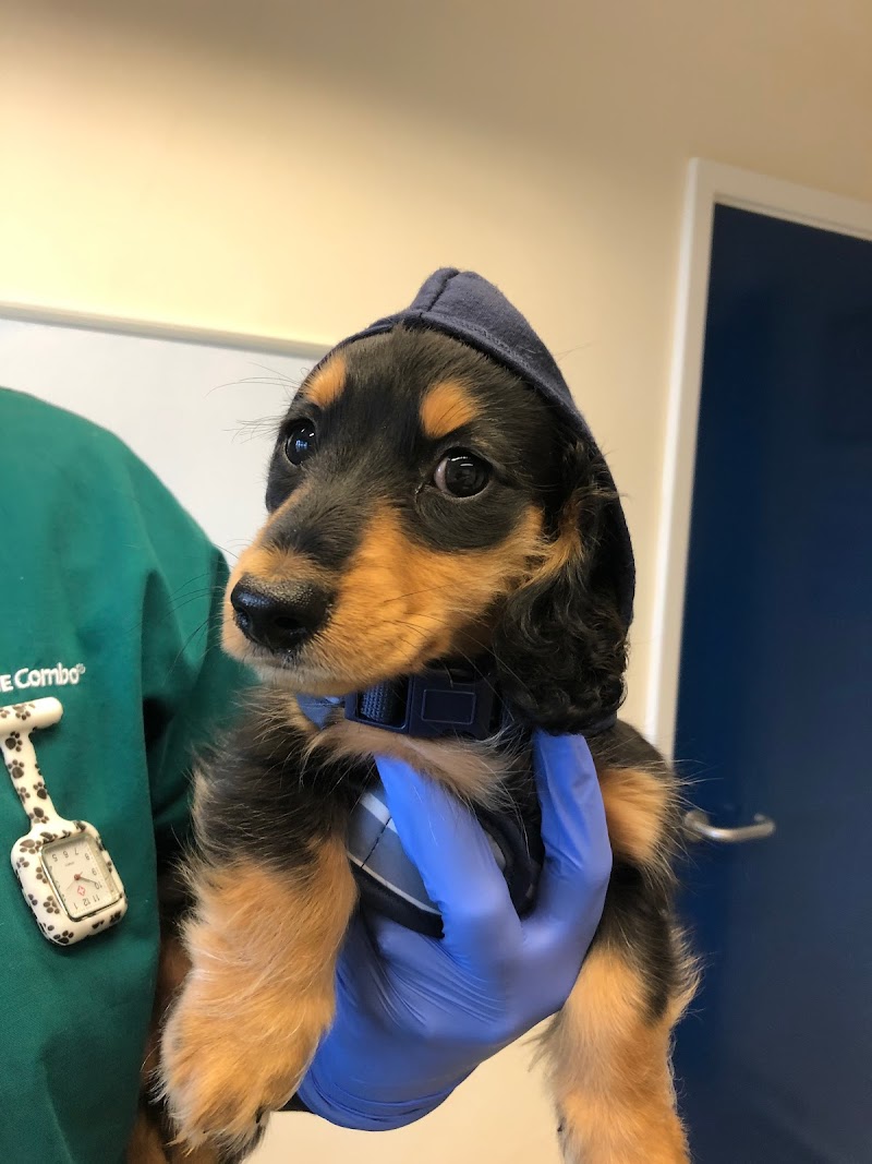 Arvonia Vets Churchdown Veterinary Centre