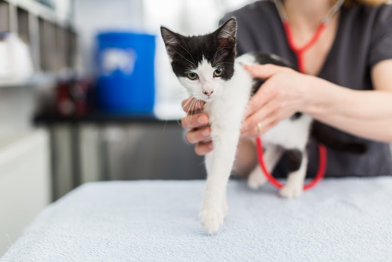 Highland Vet Referrals
