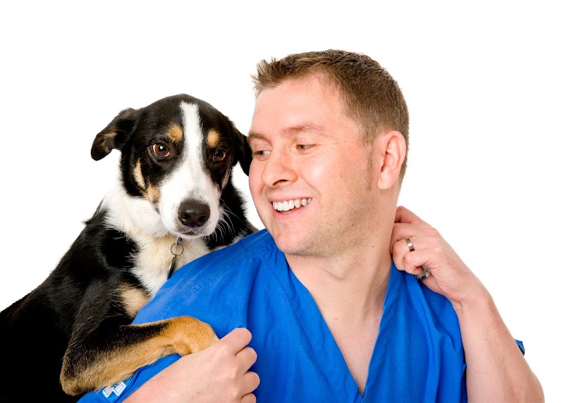 White Cross Vets