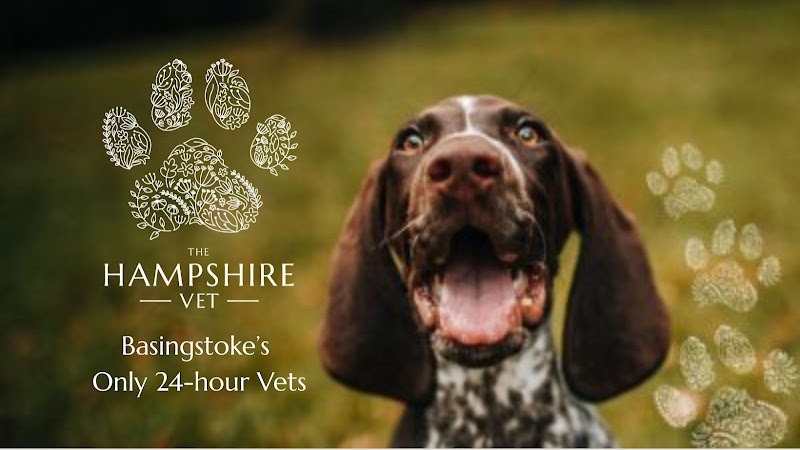 The Hampshire Vet