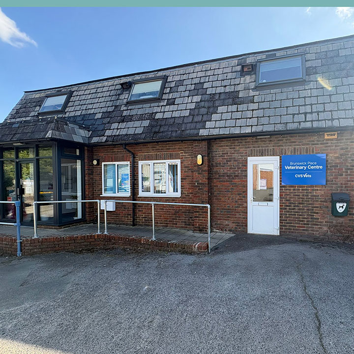Brunswick Place Veterinary Centre