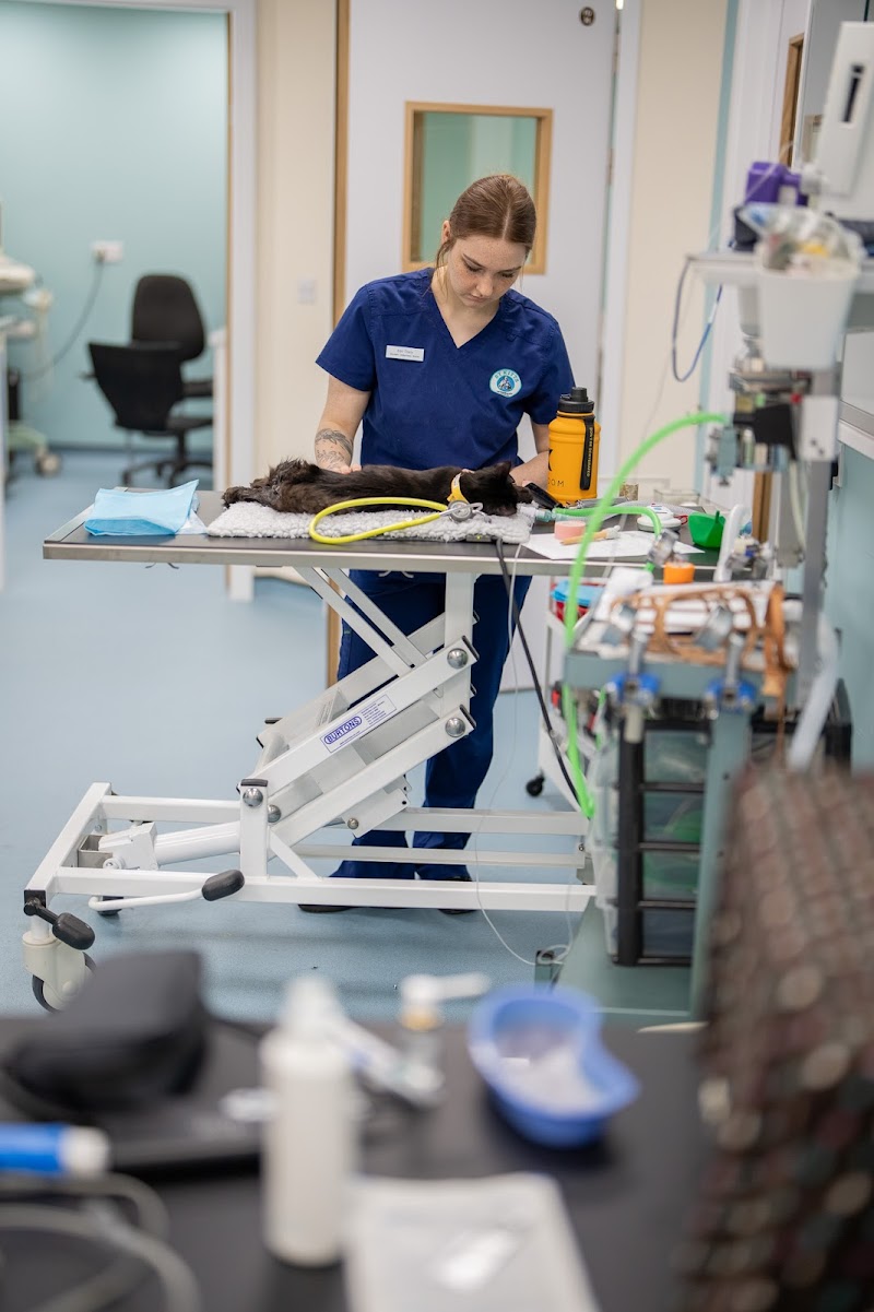 St Kitts Vets Basingstoke