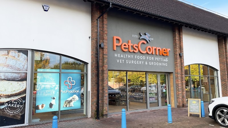 Pet Practice Veterinary Surgery