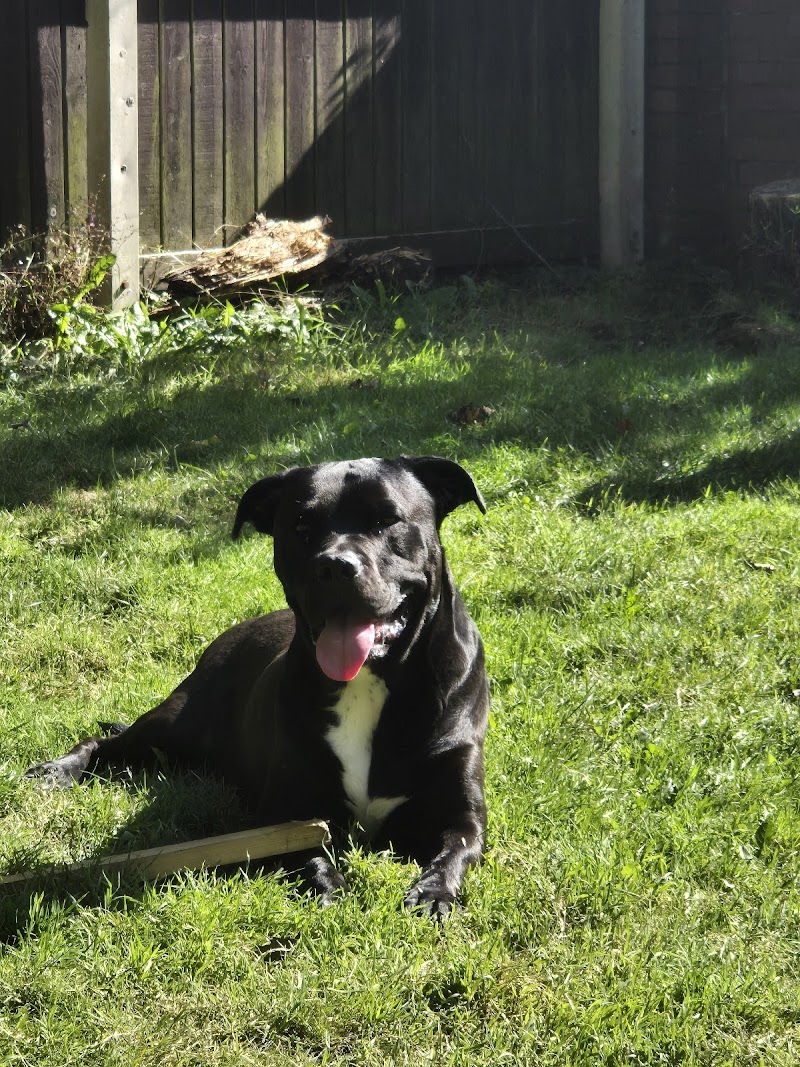 Running Paws Maghull