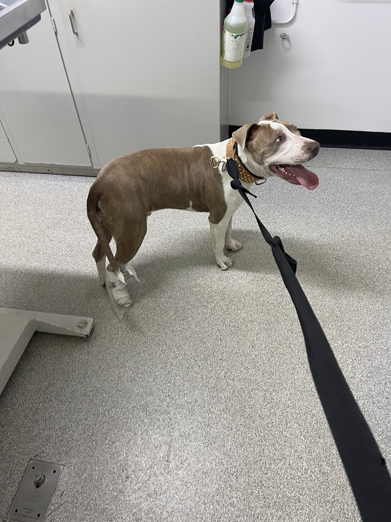 Salisbury Veterinary Clinic
