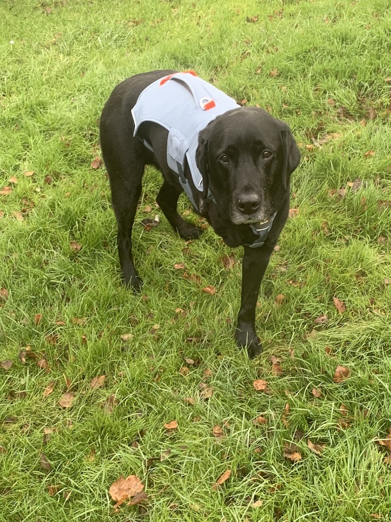 Granta Veterinary Specialists