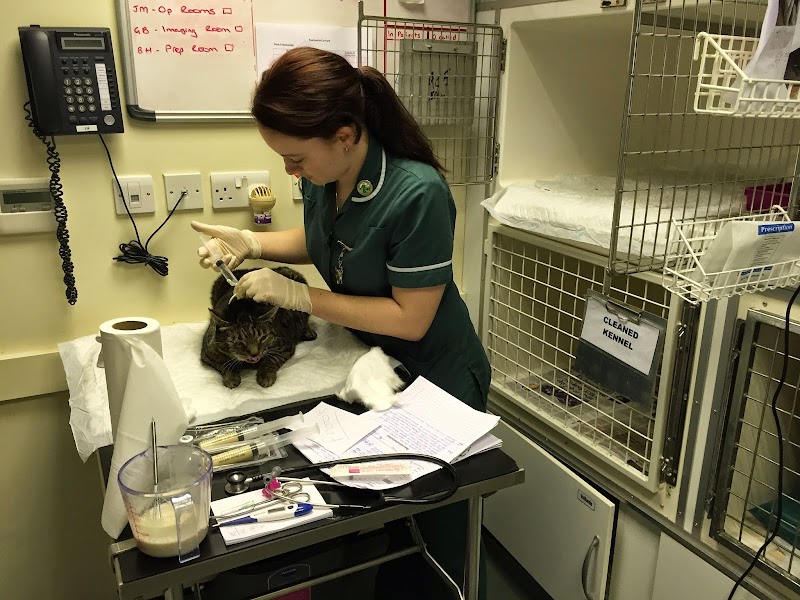 Highcliff Veterinary Practice, Hadleigh