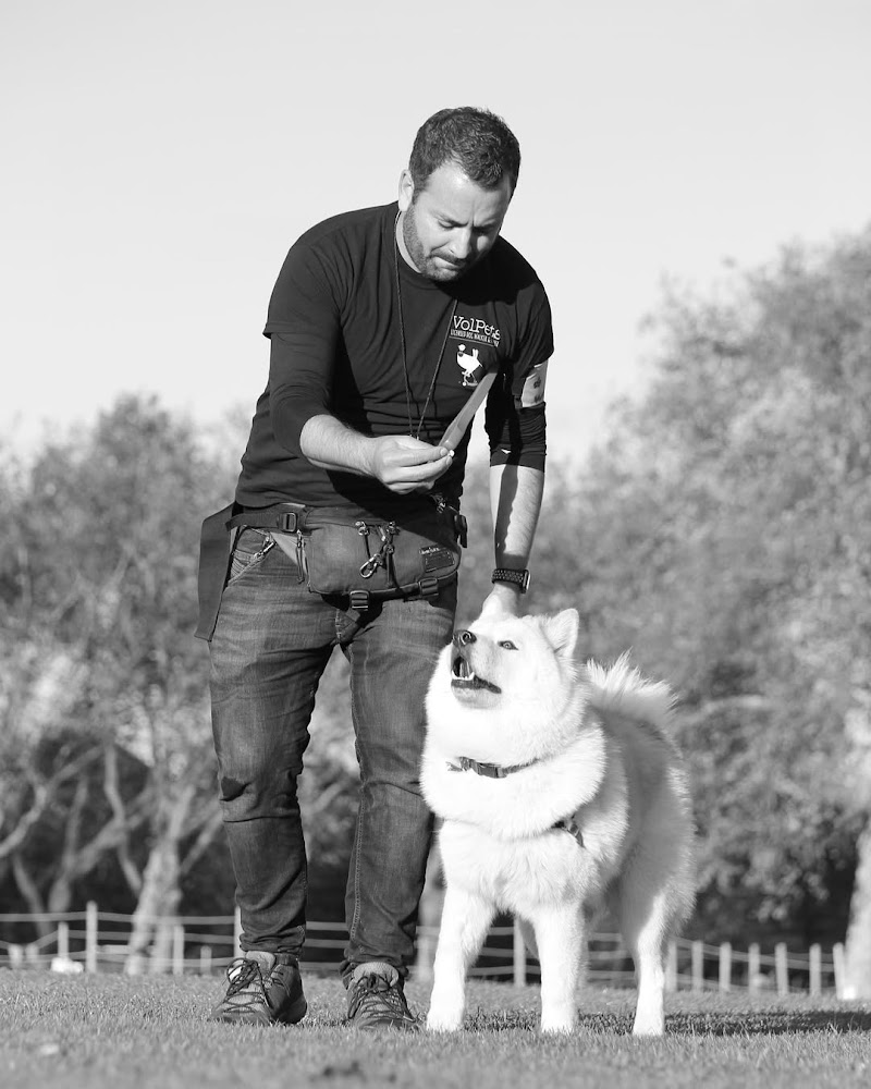 VolPets London Ltd