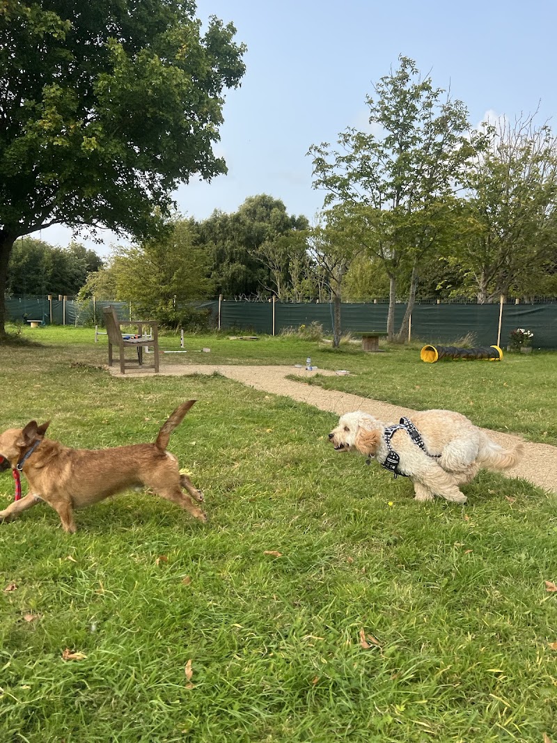 Happy hounds pet services