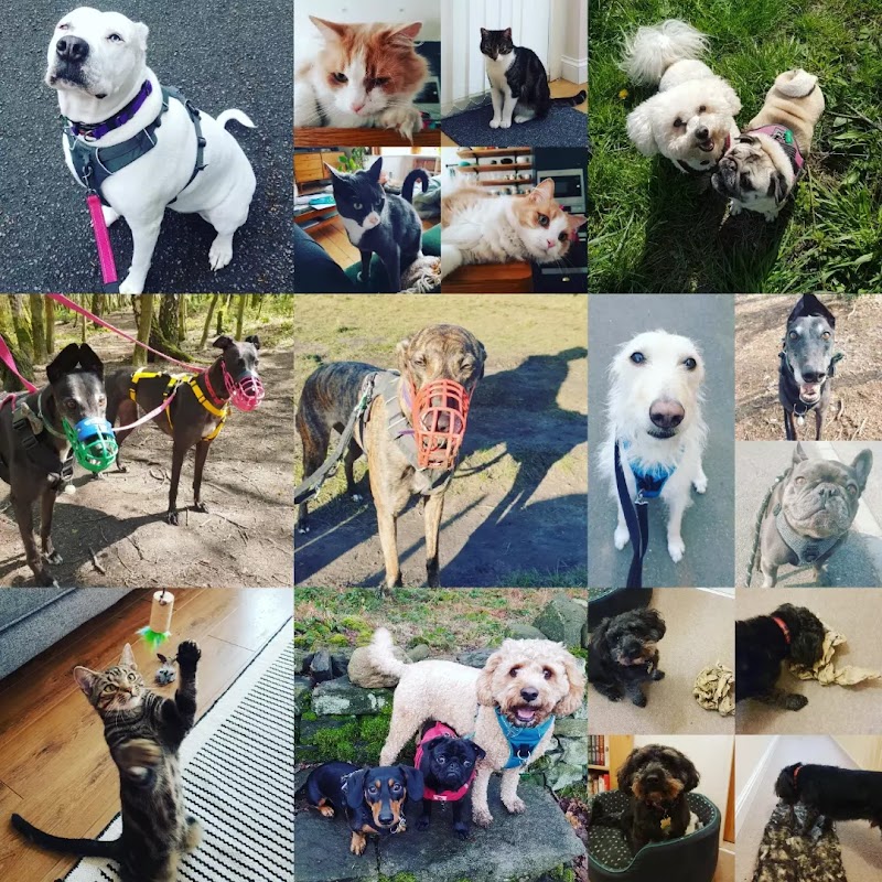 Sheffield Pet Care