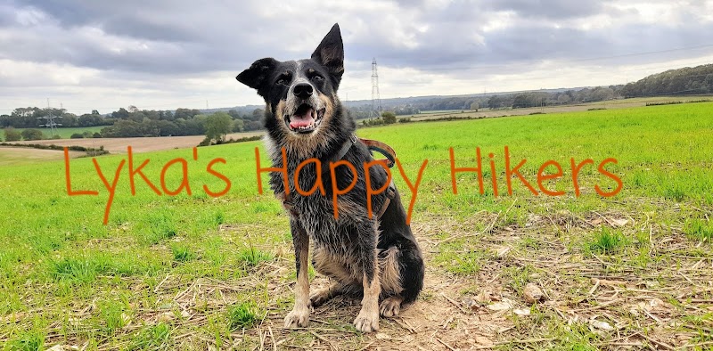 Lyka's Happy Hikers
