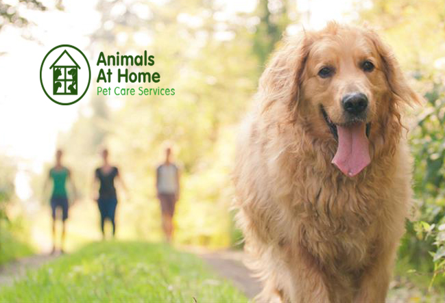 Animals at Home Oxford Ltd