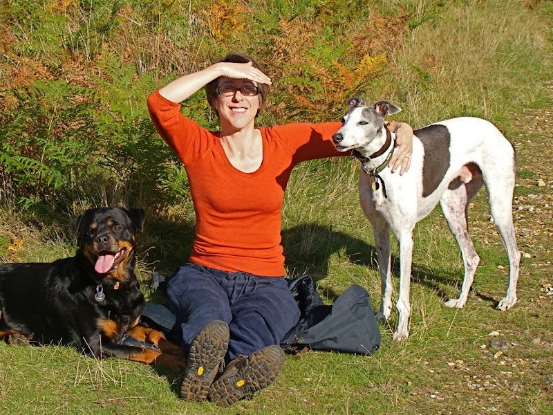 Dog Walking in Cambridge