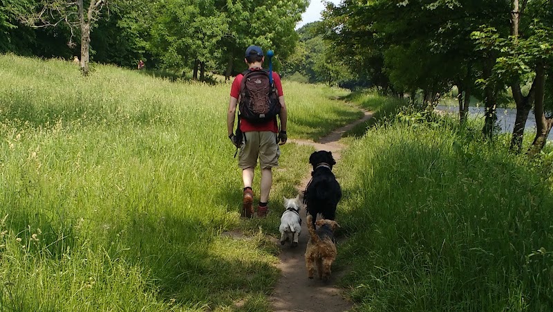 WalkWagPlay Ltd