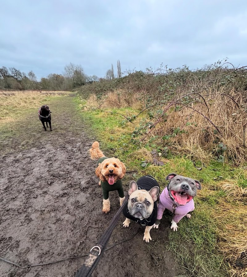 PawMates (Derby)