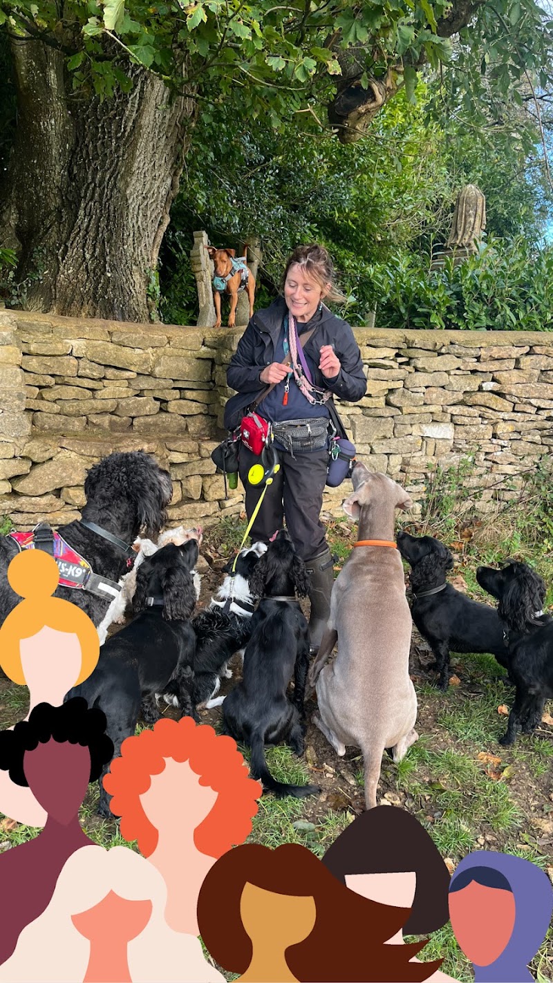 Pawtrailsofbath Dog Walking Service