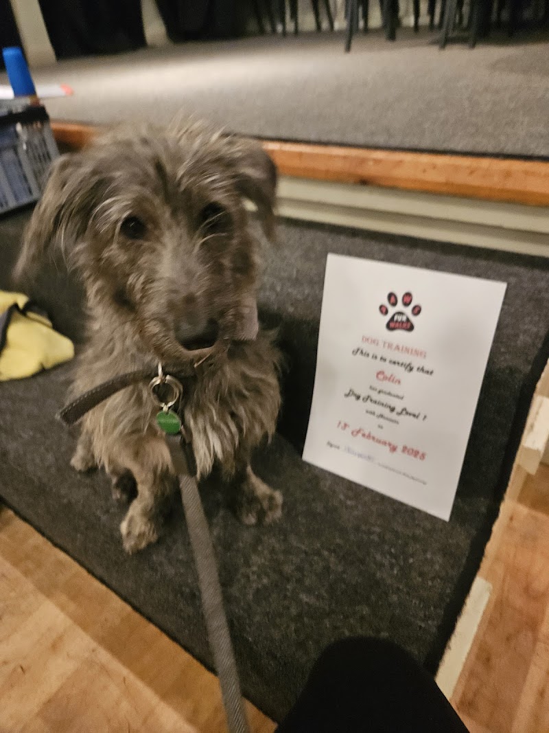 Paws Fur Walks Dog Walking and Training
