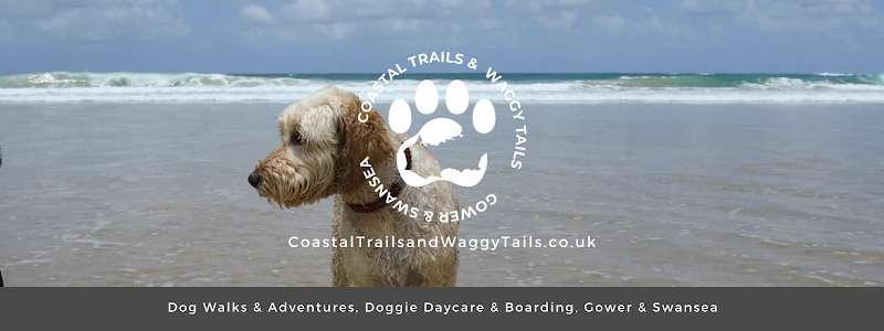 Coastal Trails and Waggy Tails