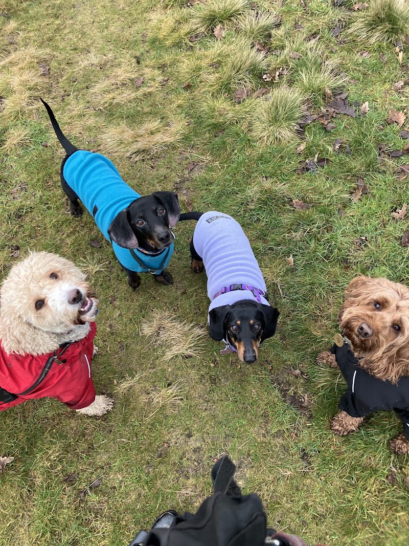 Heather's Walkies