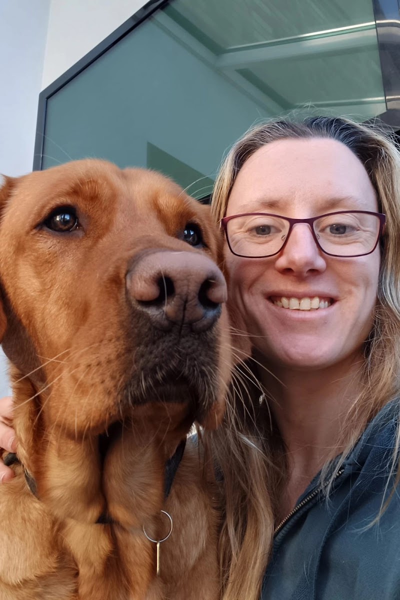 Colchester Dog Walker