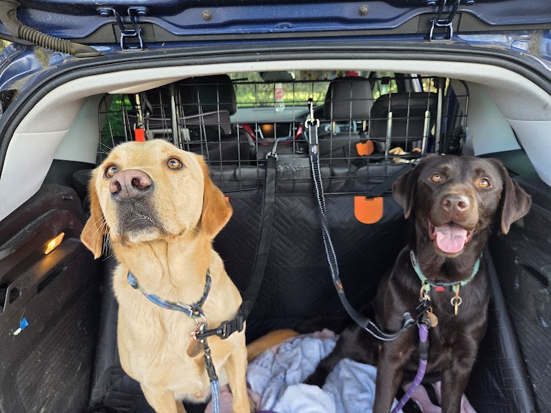 Flo and Friends Pet Services