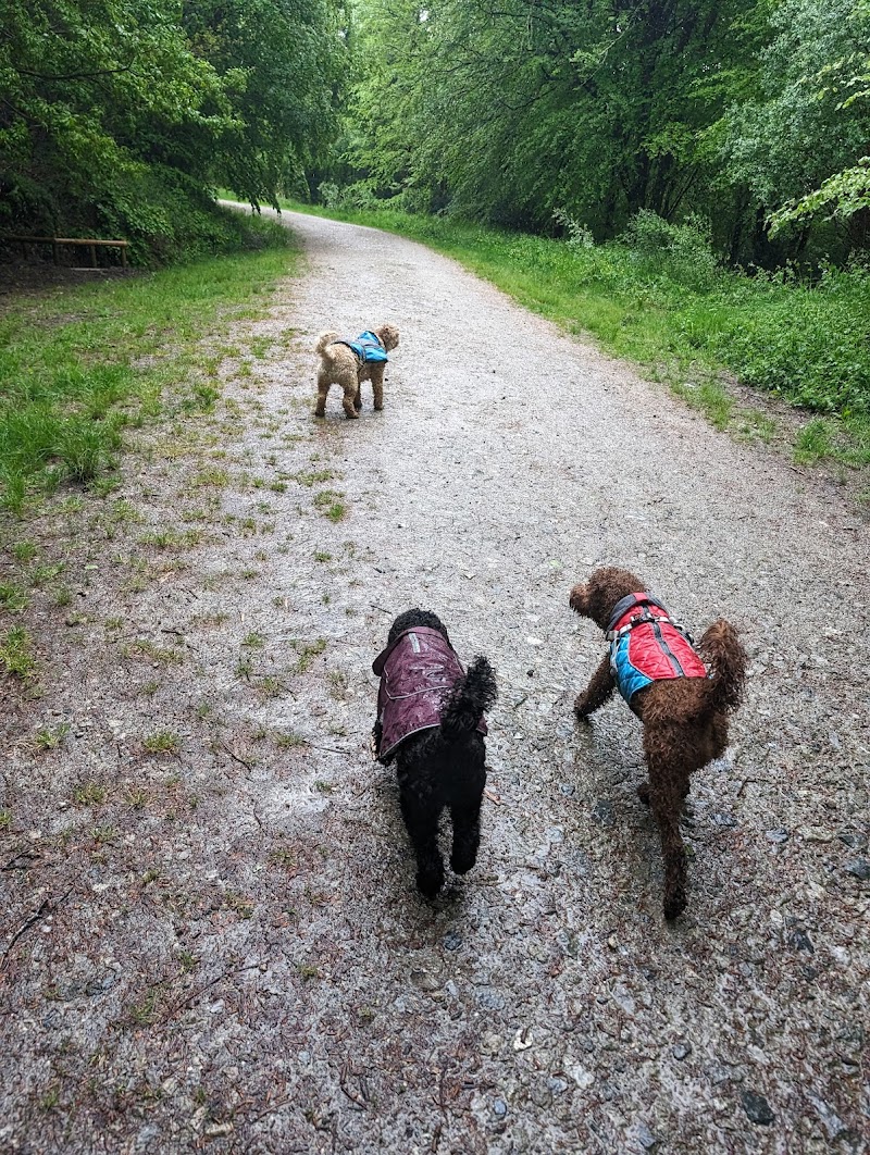 The Barking Brigade