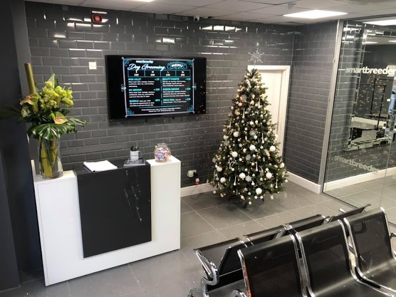 Manchester Dog Groomers