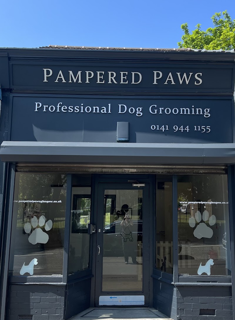 Pampered Paws Glasgow