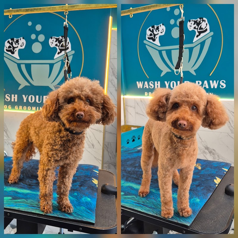 Wash Your Paws Dog Grooming Salon