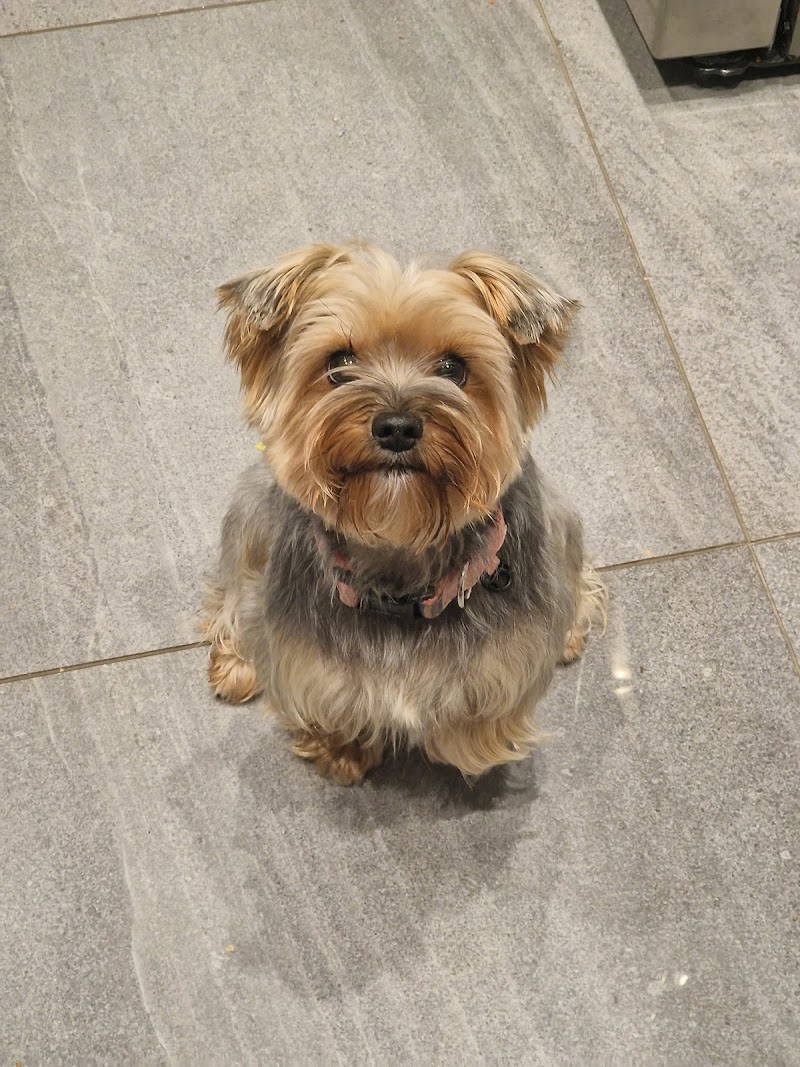 Garsington Grooming Co