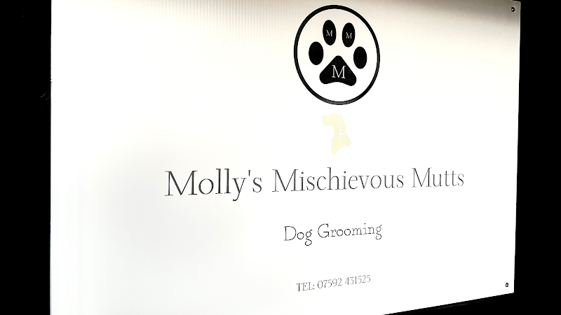 Molly's Mischievous Mutts
