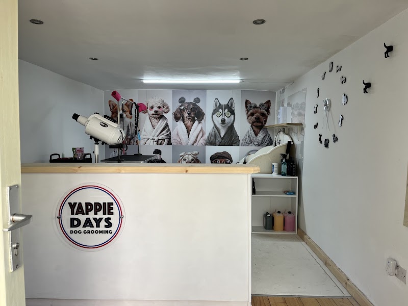 yappie days dog grooming