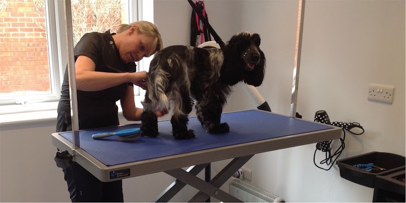 The Dog Box - Dog Grooming Exeter, Devon