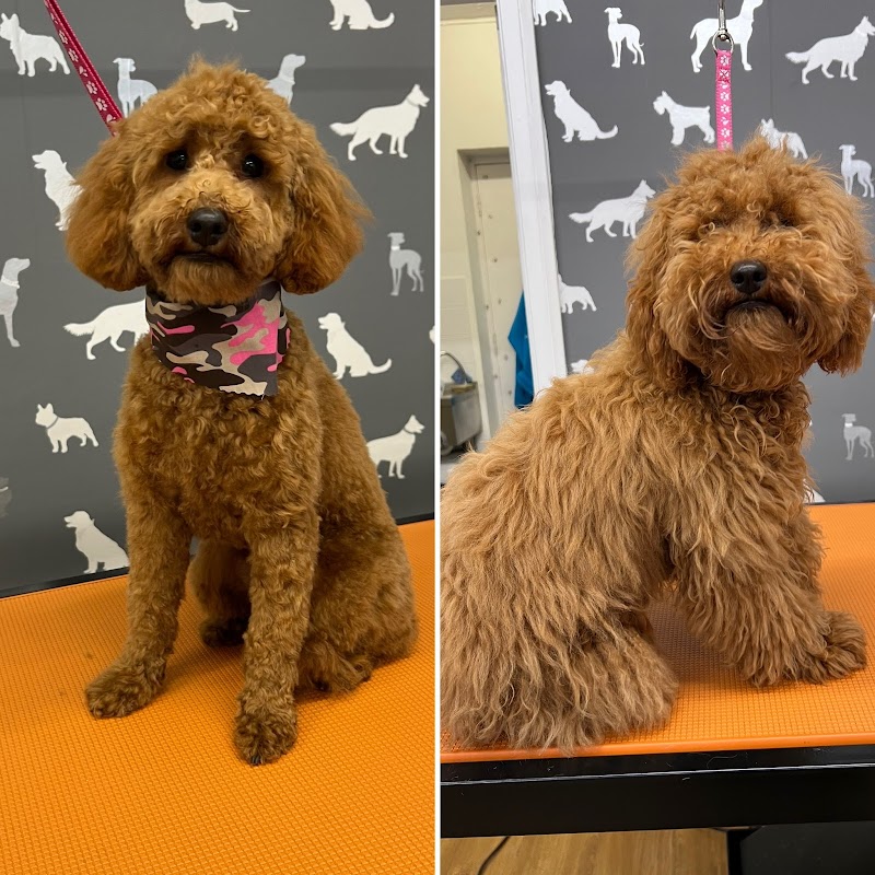 Grooming Marvellous