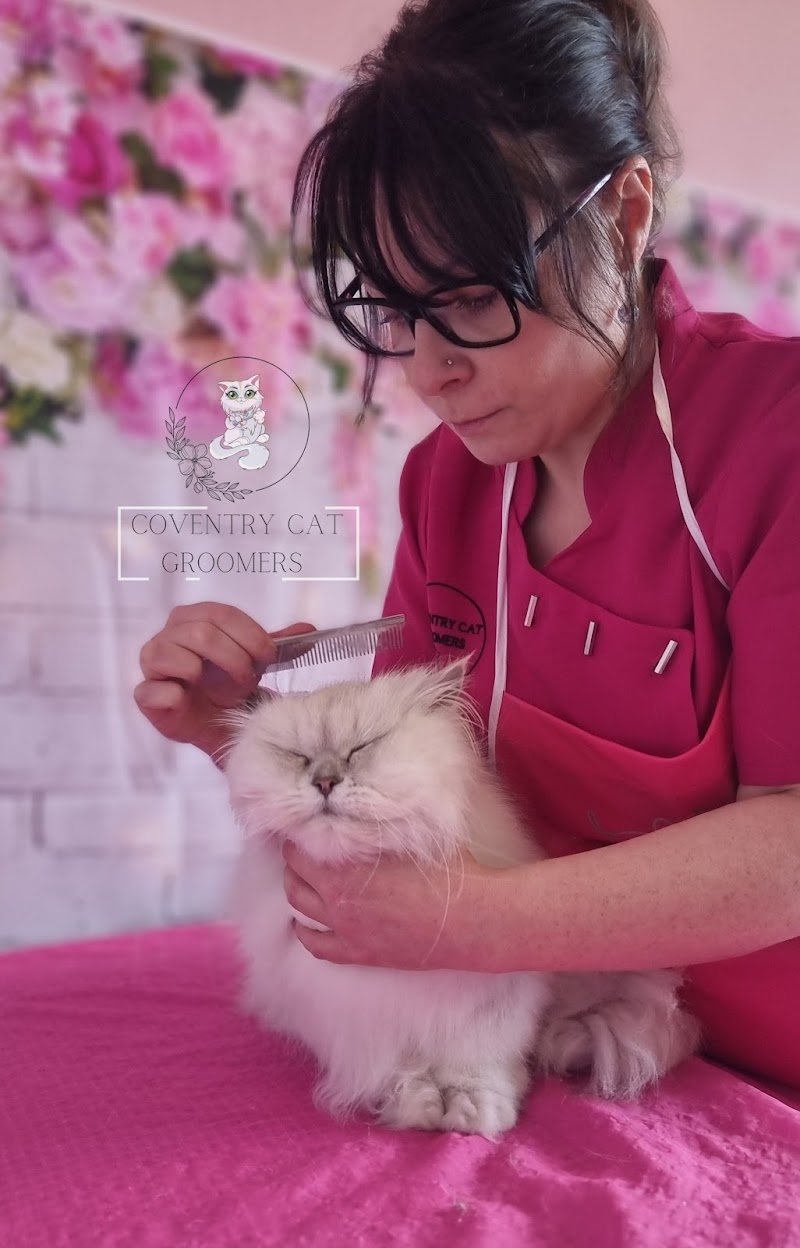 Coventry cat groomers