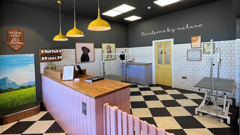 Dogwood Grooming
