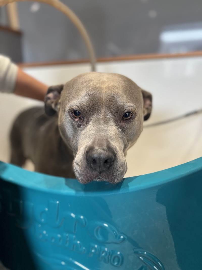 Manky Maggie's Self Service Dog Wash