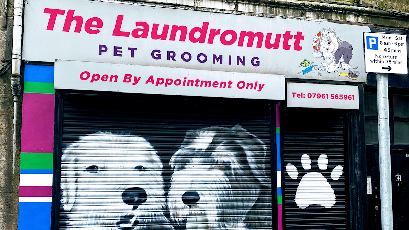 The Laundromutt